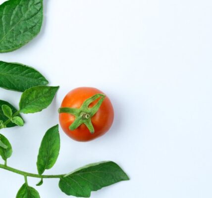 Znajdź objawy i leczenie trzech najczęstszych chorób pomidorów