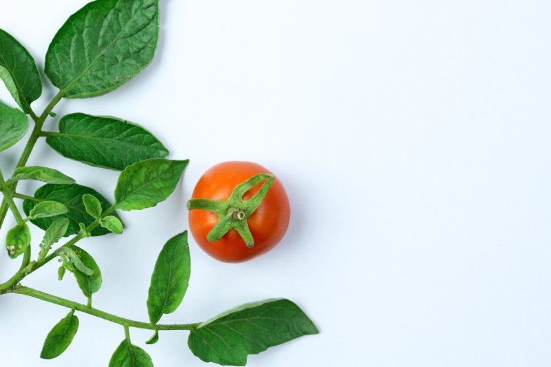 Znajdź objawy i leczenie trzech najczęstszych chorób pomidorów