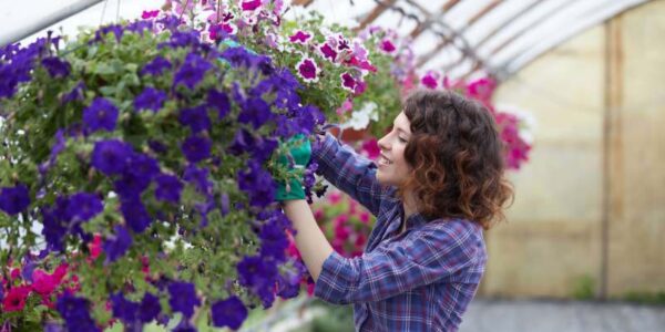 Pielęgnacja i zastosowanie naparstnicy purpurowej w ogrodzie: wymagania i odmiany
